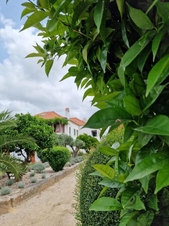 טורסיפאל Casa Nikana מראה חיצוני תמונה