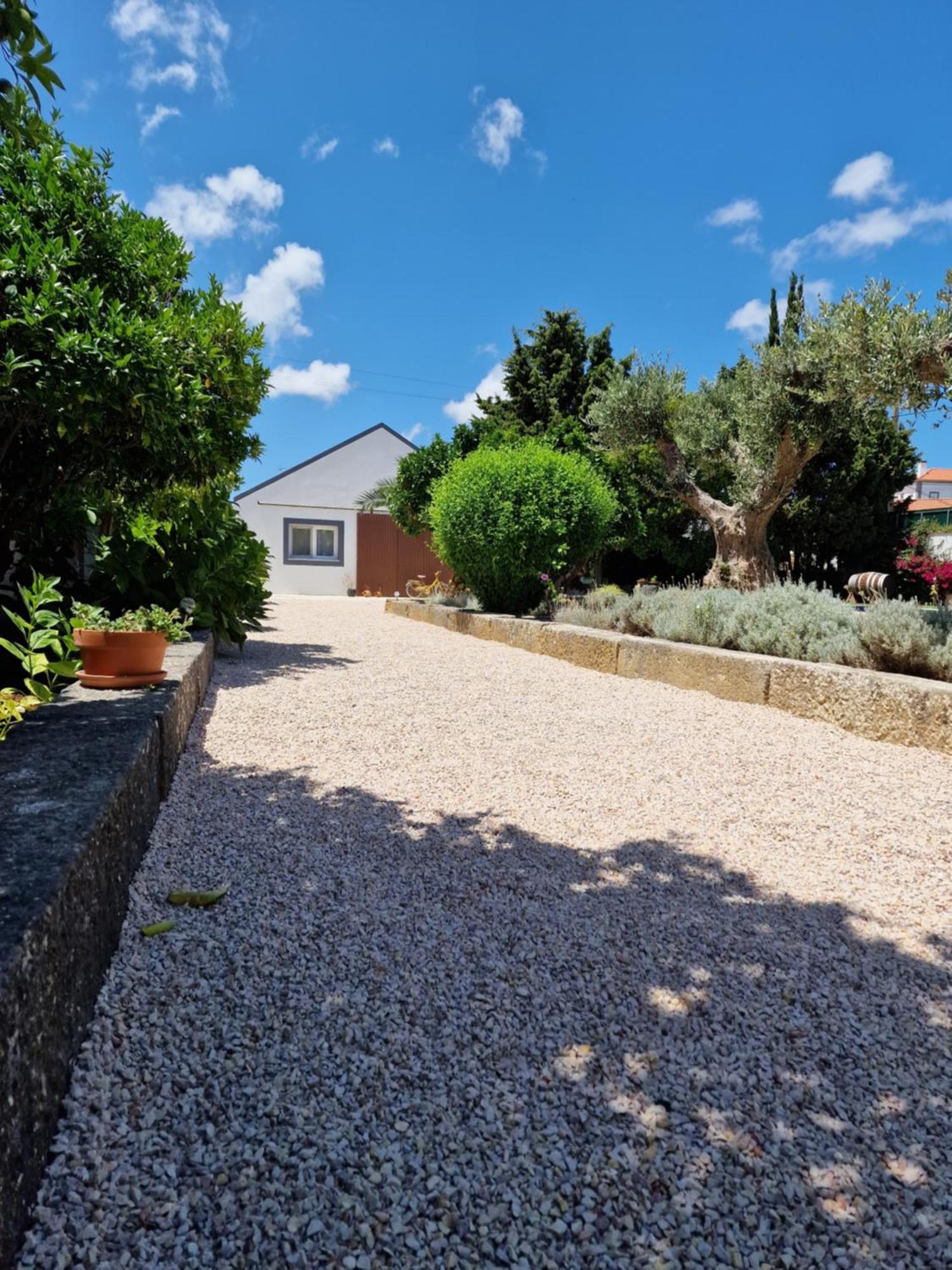 טורסיפאל Casa Nikana מראה חיצוני תמונה