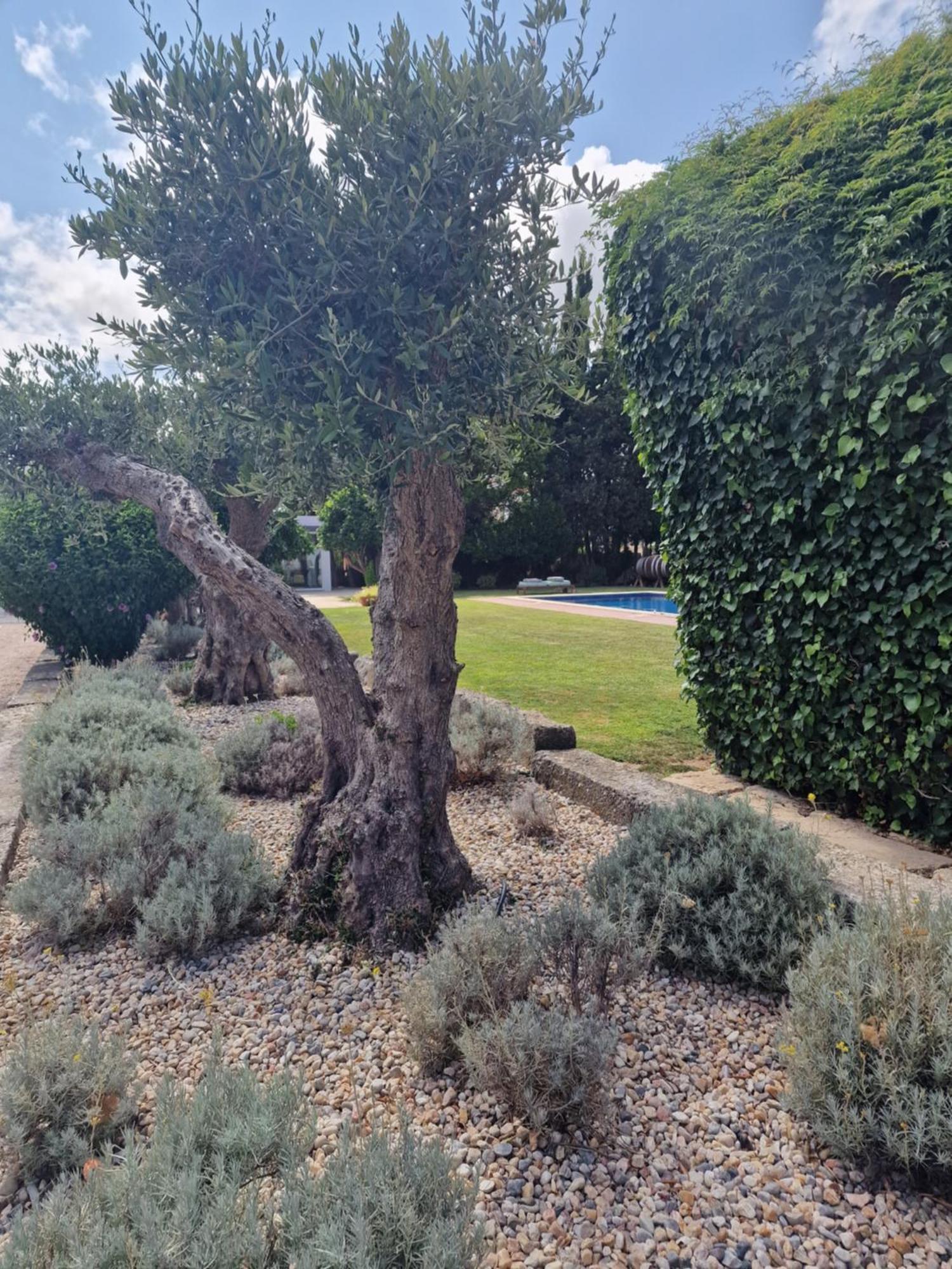 טורסיפאל Casa Nikana מראה חיצוני תמונה
